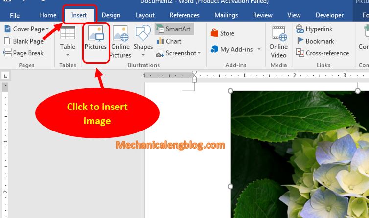 How to remove the background of a picture in word 1