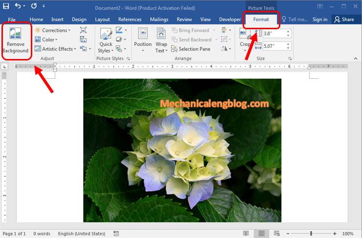 how-to-remove-image-background-in-word-haynes-froweed