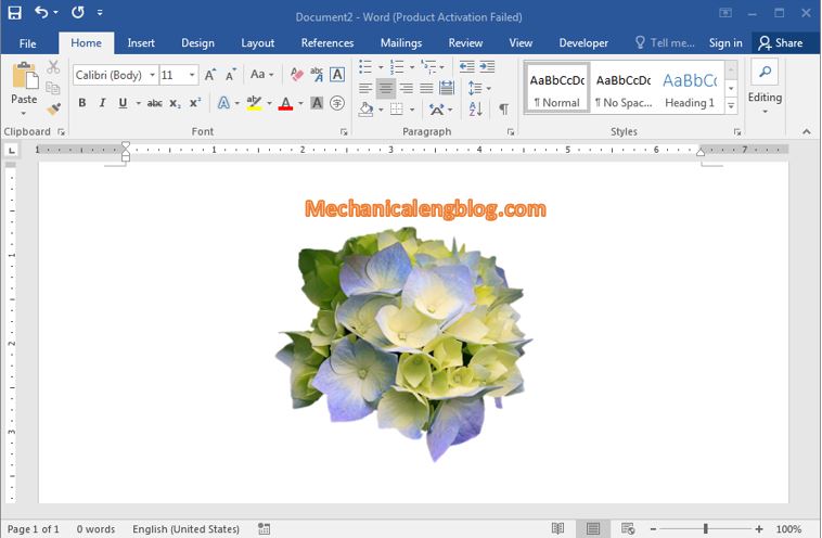 How to remove the background of a picture in word 4