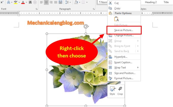 crop and resize image in Word 5