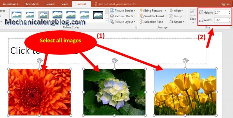 how-to-resize-image-in-powerpoint-automatically-mechanicaleng-blog